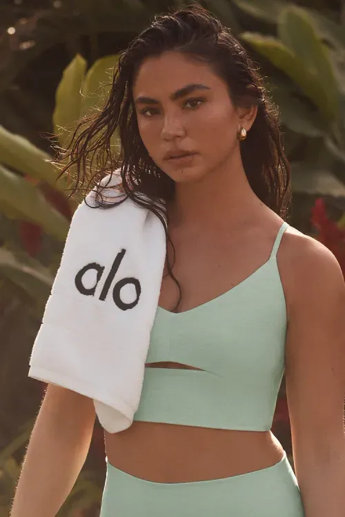 Top Alosoft Highlight